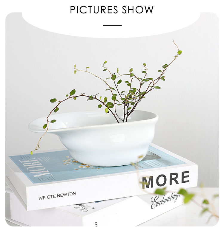 Ceramic-Flower-Pot-XQ (3)
