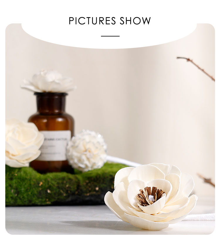 Diffuser-Dried-Flower-XQ (3)