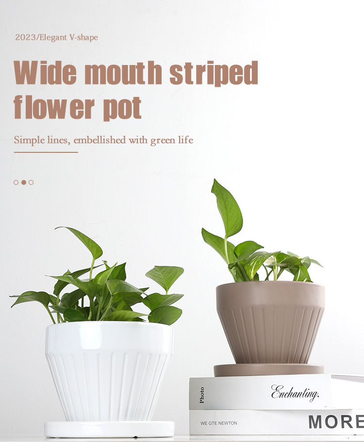 Planter-with-Tray-XQ (1)