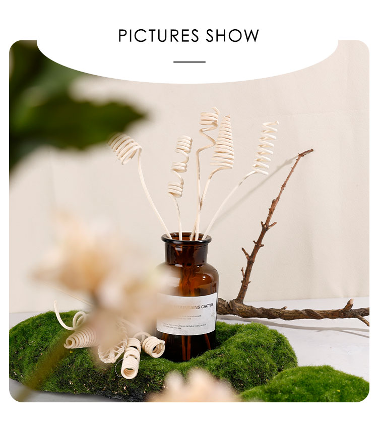Scented-Oil-Rattan-Sticks-xq (3)