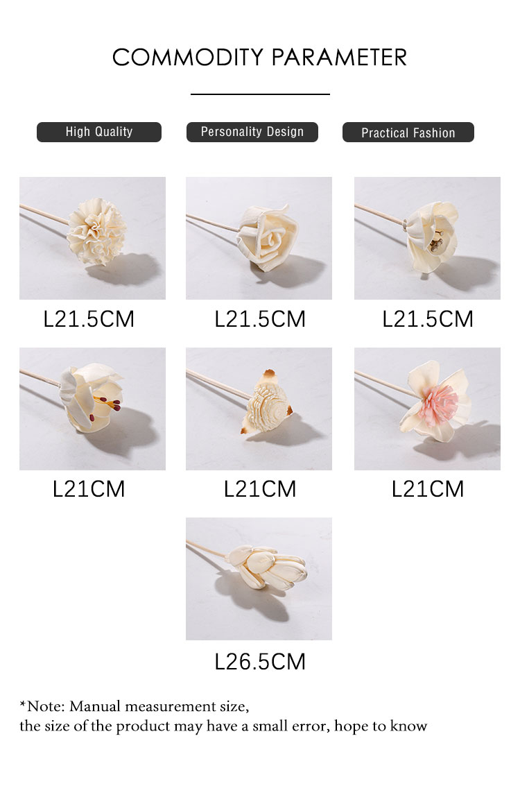 Sola-Flowers-XQ (2)