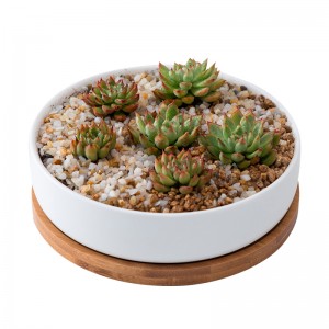 Wholesale Round White Ceramic Succulent Plant Pot